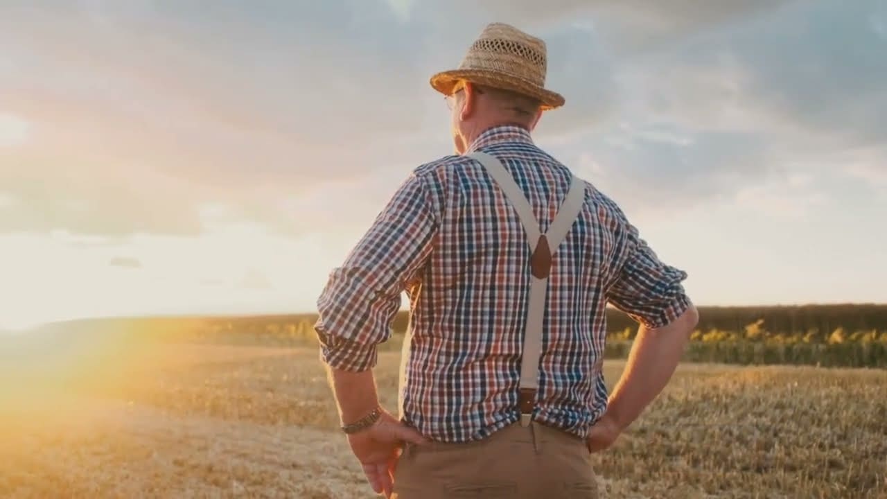 Remote digital marketing delivery across NSW and Australia