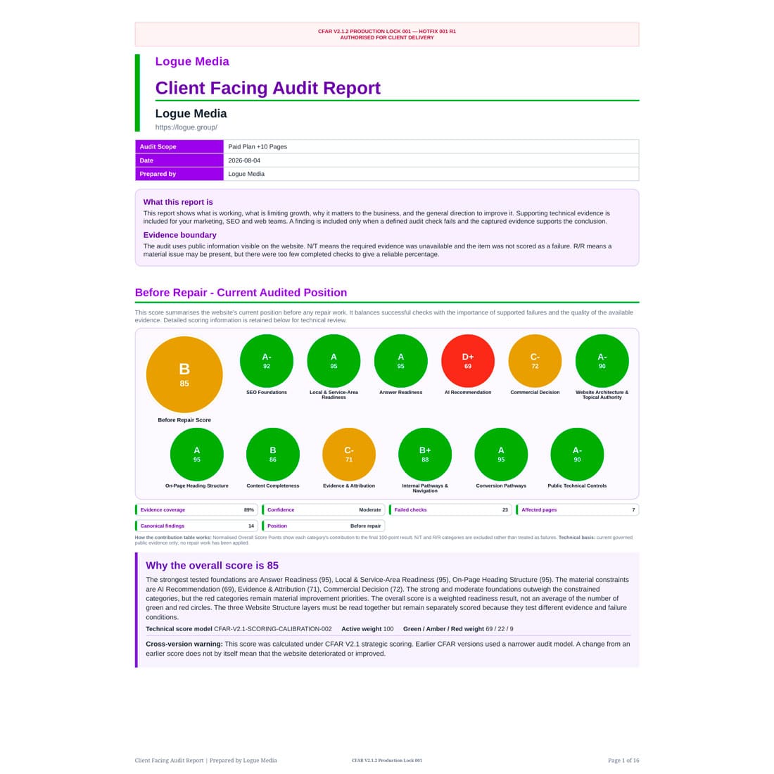 AI Visibility Audit report showing website findings